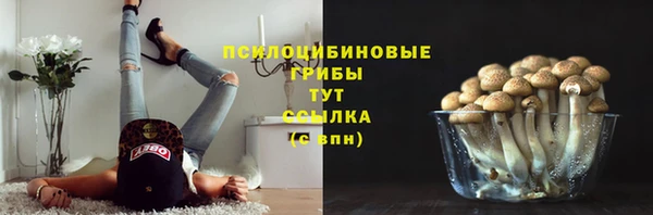 ГАЛЛЮЦИНОГЕННЫЕ ГРИБЫ Балахна