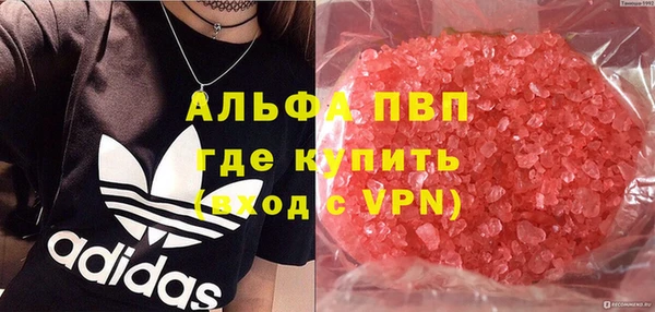 ГАЛЛЮЦИНОГЕННЫЕ ГРИБЫ Балахна
