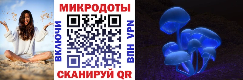 Галлюциногенные грибы Psilocybe  где продают наркотики  Фурманов 